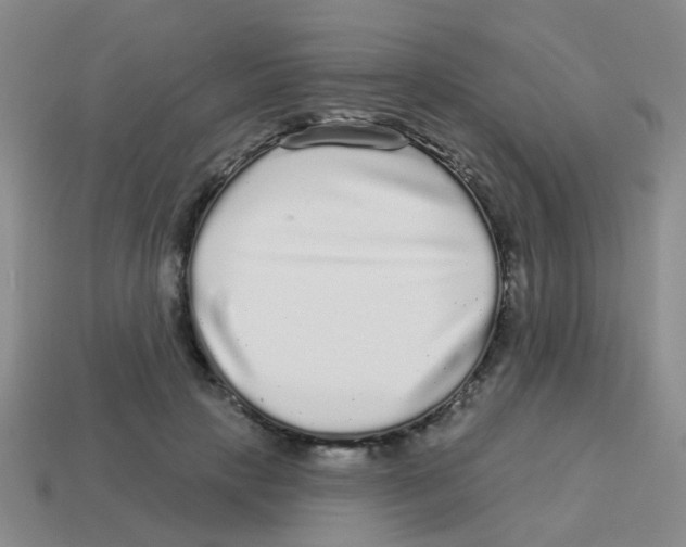 X0000113880649200910221357