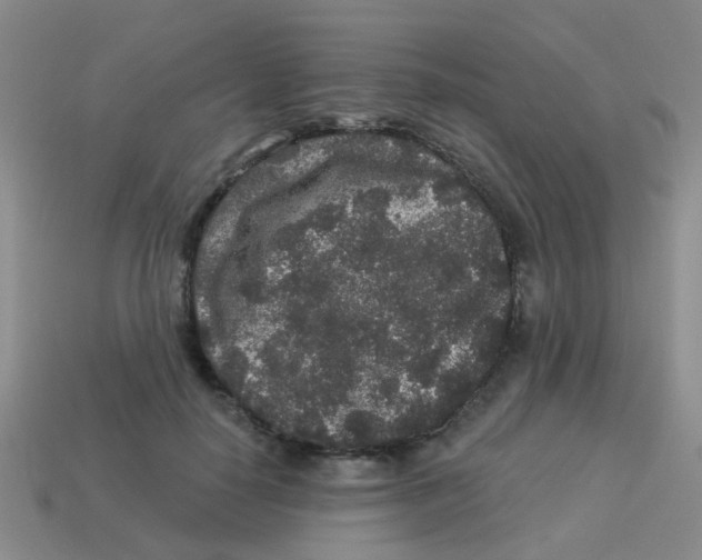 X0000113880650200910221357