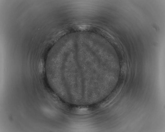 X0000113880651200910221357