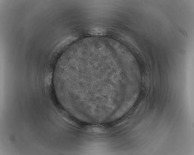 X0000113880652200910221357