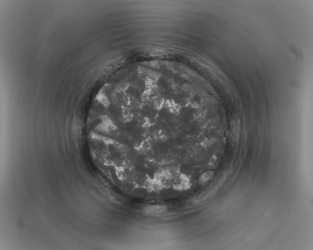 X0000113880653200910221357