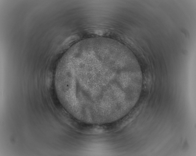 X0000113880656200910221357