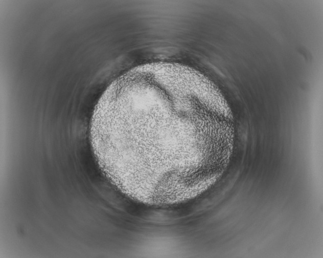 X0000113880657200910221357