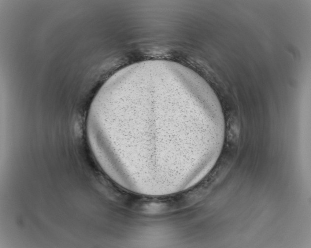 X0000113880658200910221357