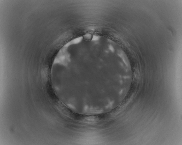X0000113880659200910221357
