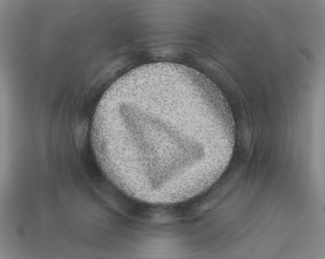 X0000113880660200910221357
