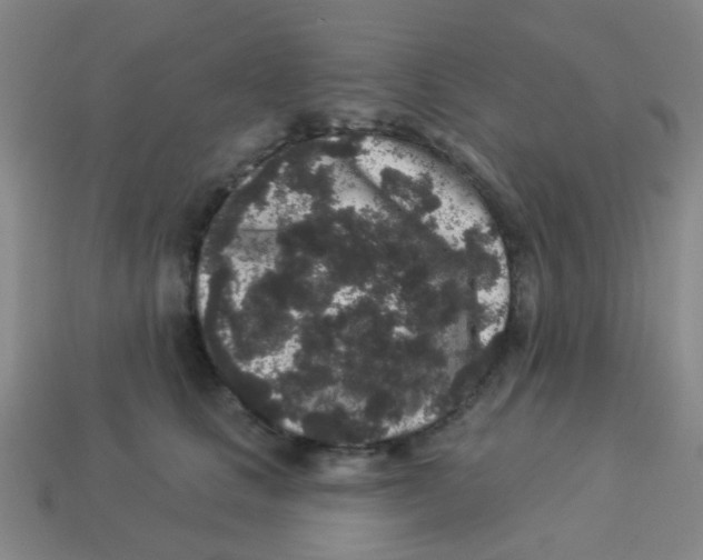 X0000113880661200910221357