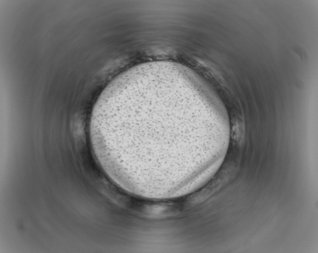 X0000113880662200910221357
