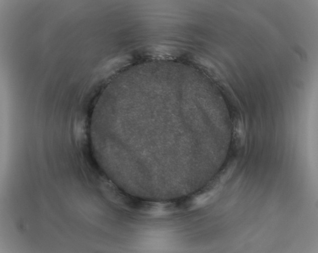 X0000113880663200910221357