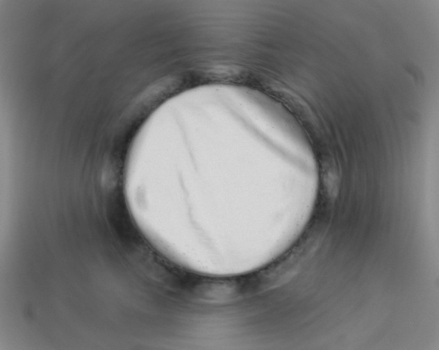 X0000113880665200910221357