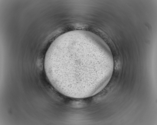 X0000113880666200910221357