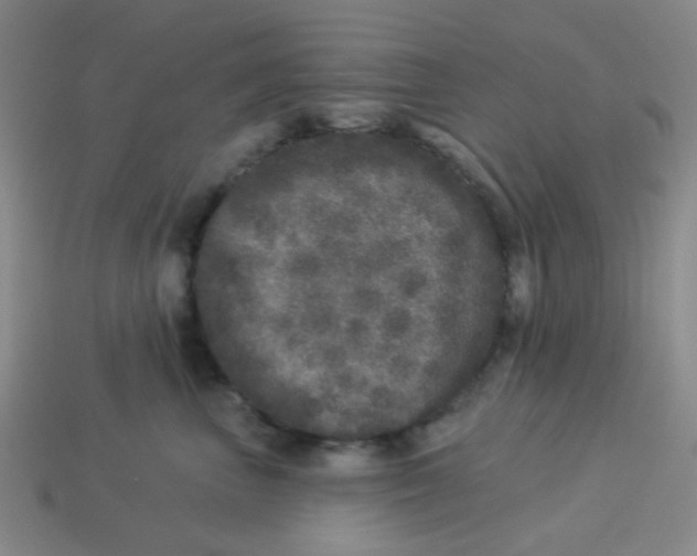 X0000113880667200910221357