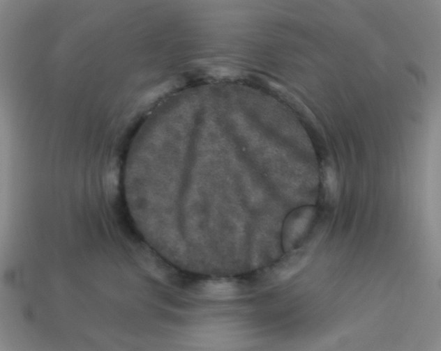 X0000113880668200910221357