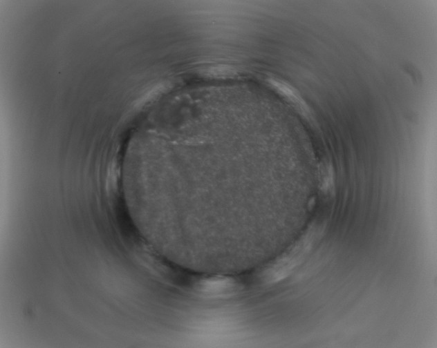 X0000113880669200910221357