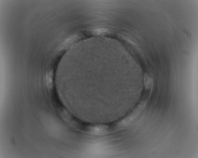 X0000113880670200910221357