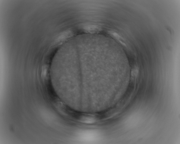X0000113880671200910221357
