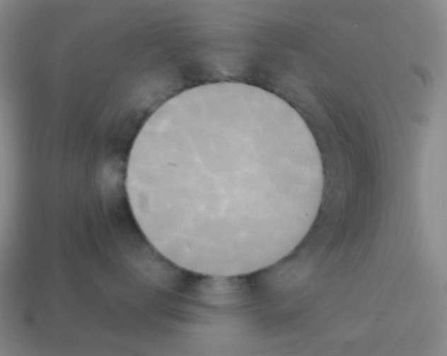 X0000113880672200910221357
