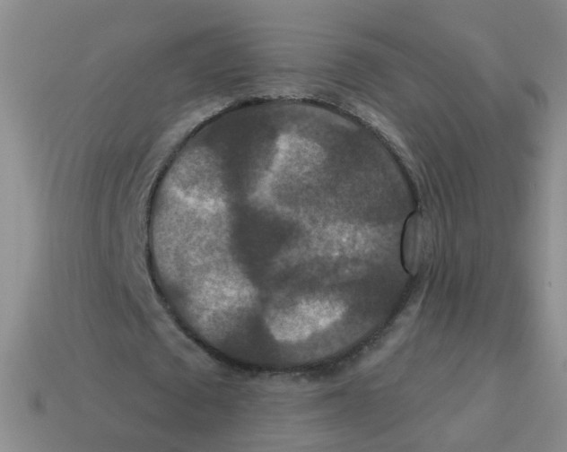 X0000113880673200910221356