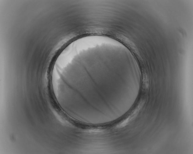 X0000113880674200910221356