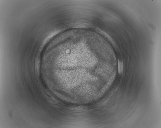 X0000113880675200910221356
