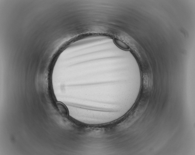 X0000113880676200910221356