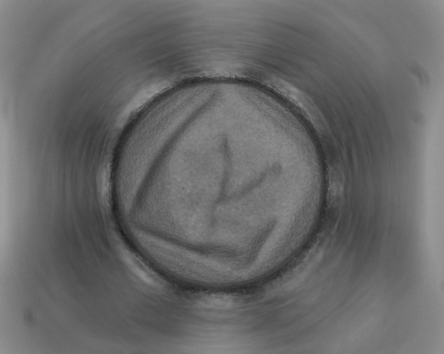 X0000113880677200910221356