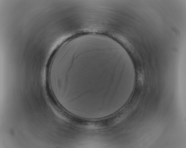 X0000113880678200910221356
