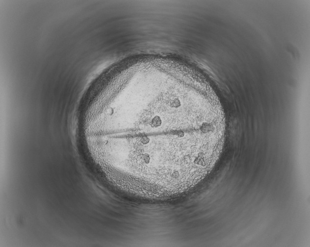 X0000113880679200910221356