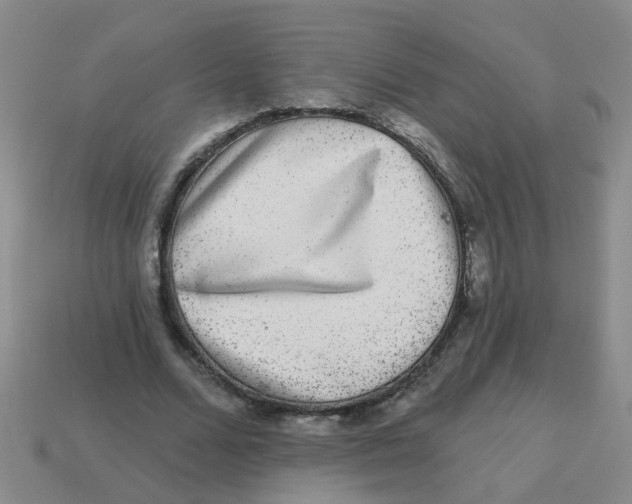 X0000113880680200910221356