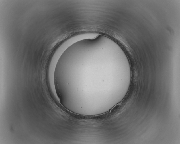 X0000113880681200910221356