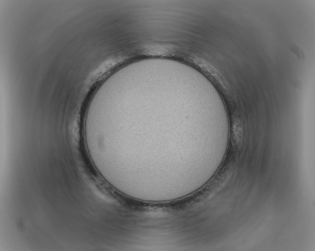 X0000113880682200910221356