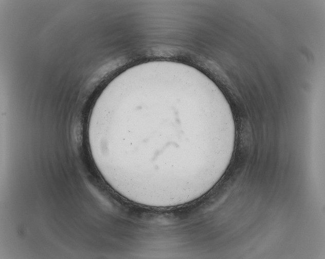 X0000113880683200910221356