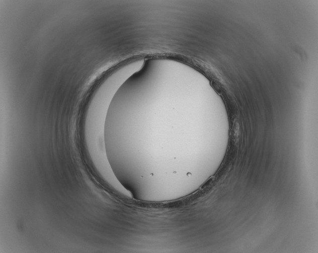 X0000113880684200910221356