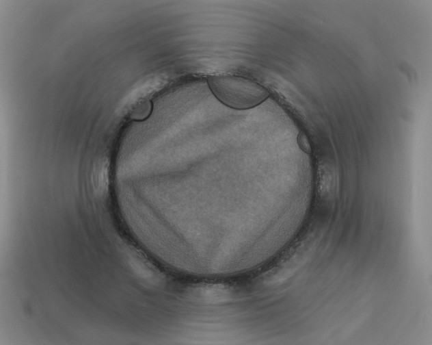X0000113880685200910221356
