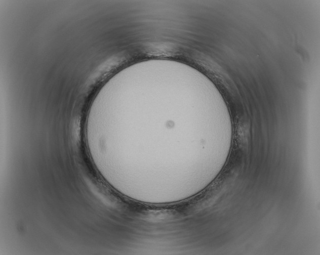 X0000113880686200910221356