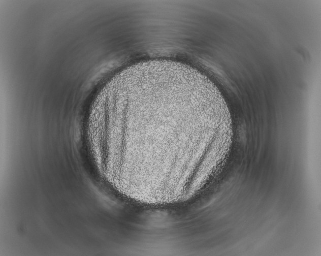 X0000113880687200910221356