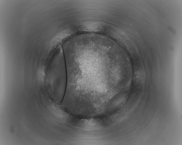 X0000113880688200910221356