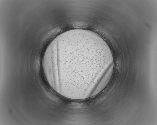 X0000113880690200910221356
