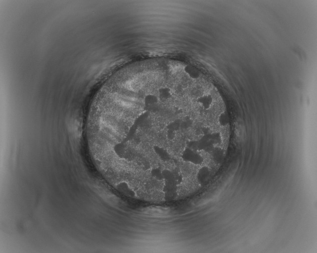 X0000113880691200910221356
