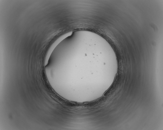 X0000113880692200910221356
