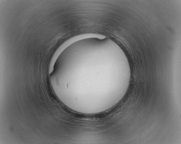 X0000113880693200910221356
