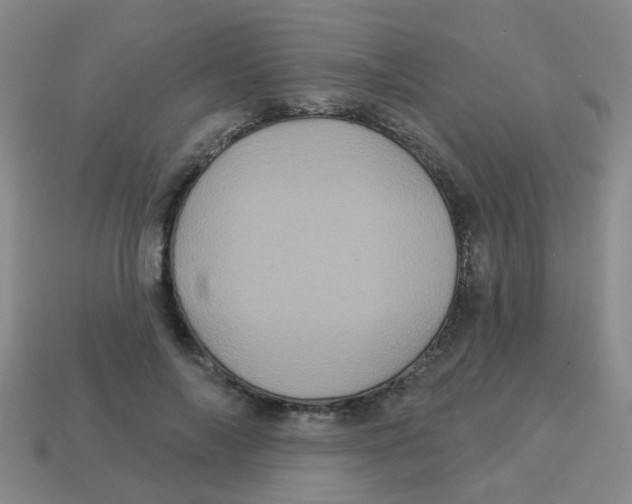 X0000113880694200910221356