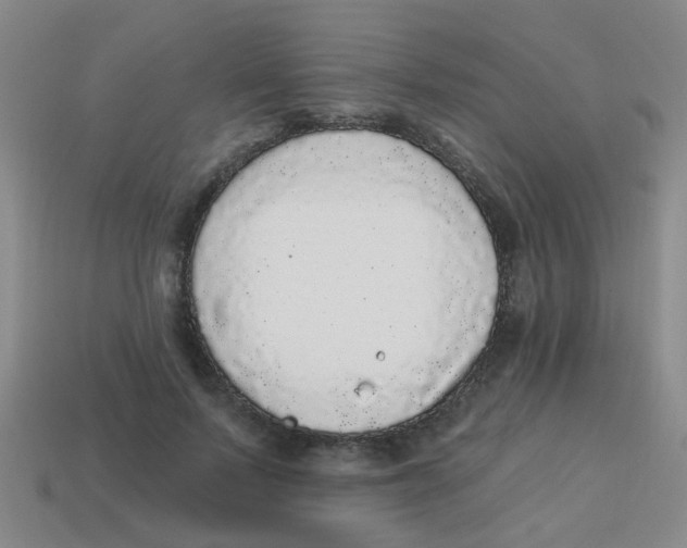 X0000113880695200910221356