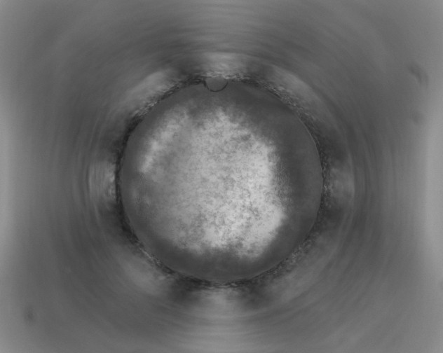X0000113880696200910221356
