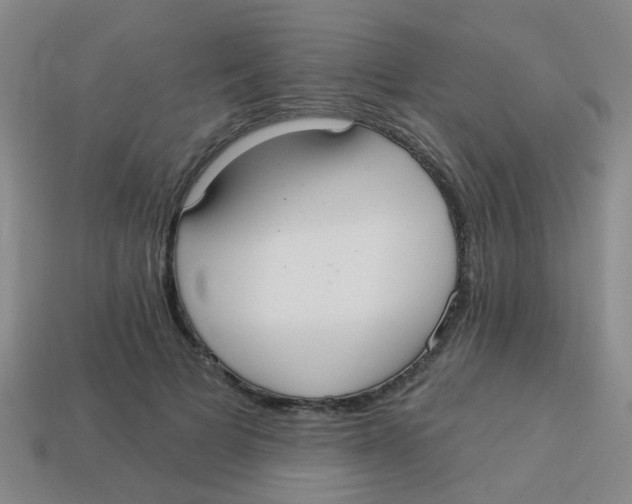 X0000113880697200910221356