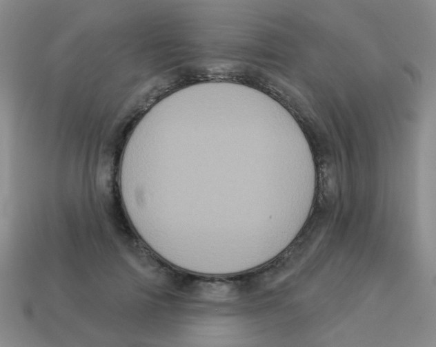 X0000113880698200910221356