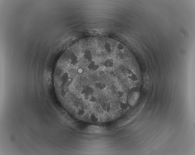 X0000113880699200910221356