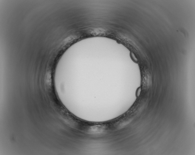 X0000113880700200910221356