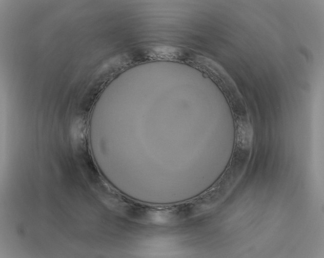 X0000113880701200910221356