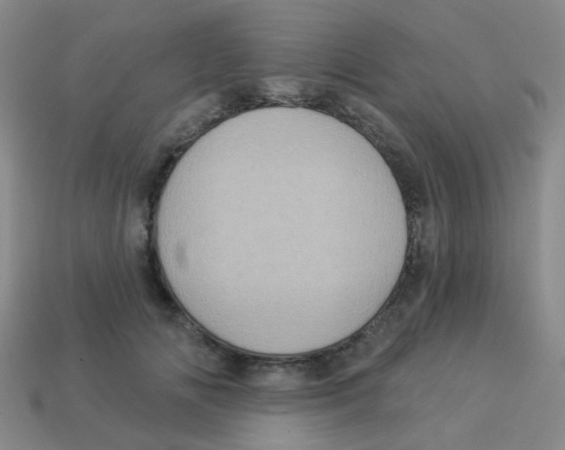 X0000113880702200910221356